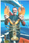 lobster1.jpg (28236 bytes)